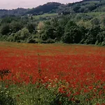 Casa Di Alice *